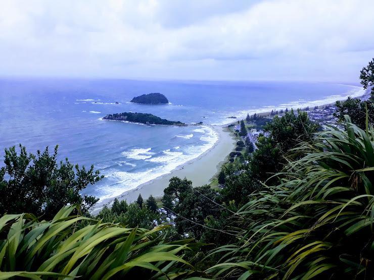Downtown Mount B And B Mount Maunganui Exteriör bild